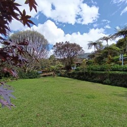 Finca Vereda El Tambo - La Ceja, Antioquia