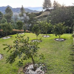 "Country House" - La Campiña - La Ceja, Antioquia